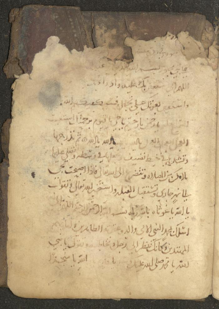 مخطوطة في السيرة النبوية، القرن التاسع عشر
