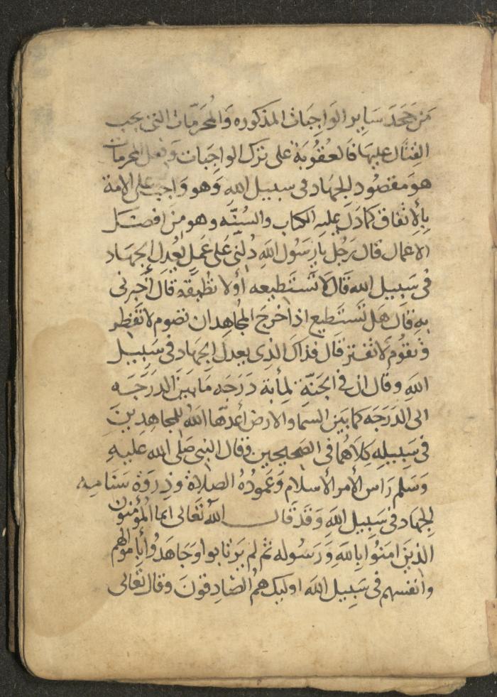 مخطوطة في السيرة النبوية، القرن التاسع عشر