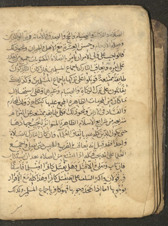 مخطوطة في السيرة النبوية، القرن التاسع عشر