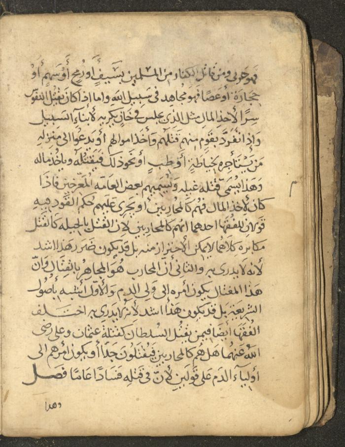 مخطوطة في السيرة النبوية، القرن التاسع عشر
