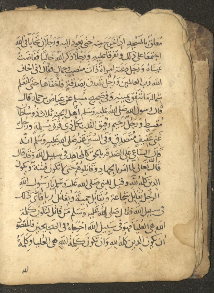مخطوطة في السيرة النبوية، القرن التاسع عشر