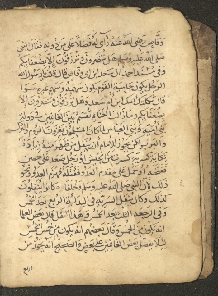 مخطوطة في السيرة النبوية، القرن التاسع عشر