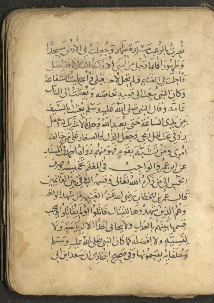 مخطوطة في السيرة النبوية، القرن التاسع عشر