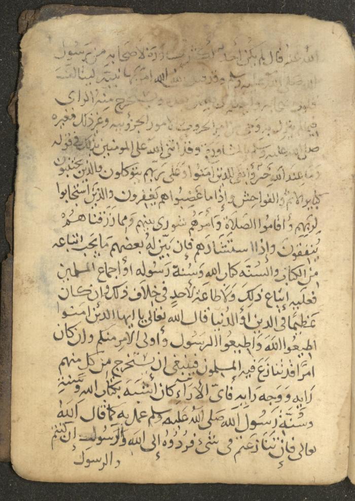 مخطوطة في السيرة النبوية، القرن التاسع عشر