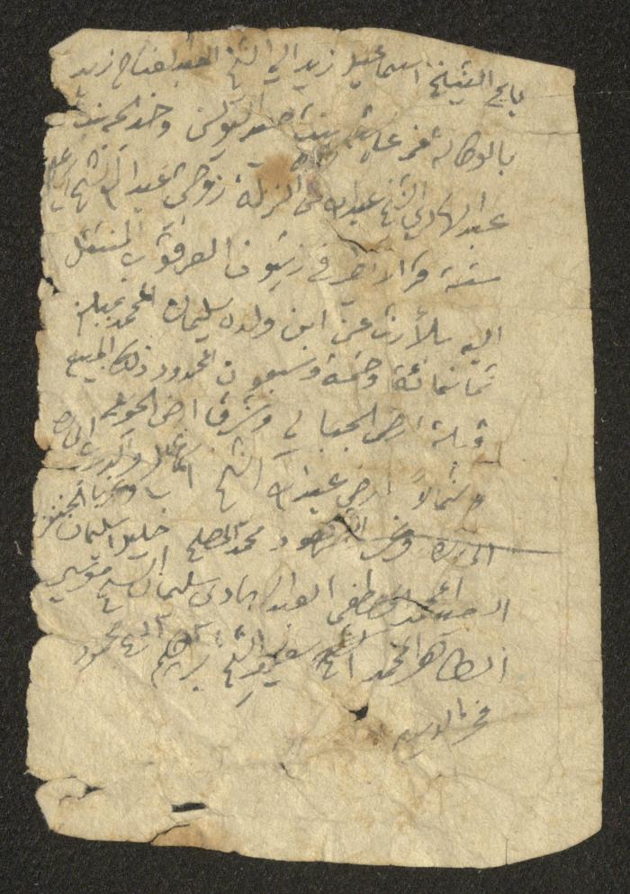 حجة بيع إسماعيل زيد 