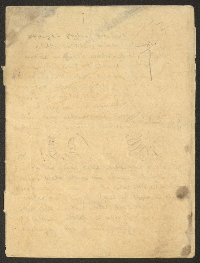 An Accounting Ledger for the Abdullah Family