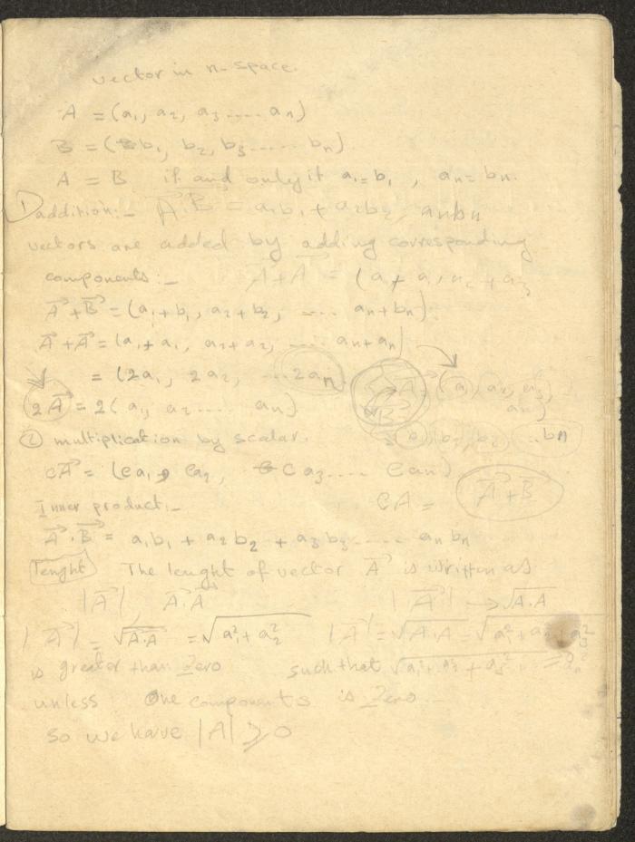 An Accounting Ledger for the Abdullah Family