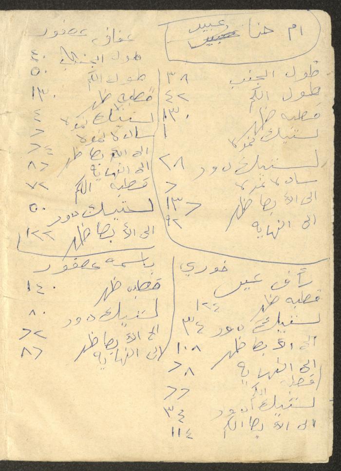 An Accounting Ledger for the Abdullah Family