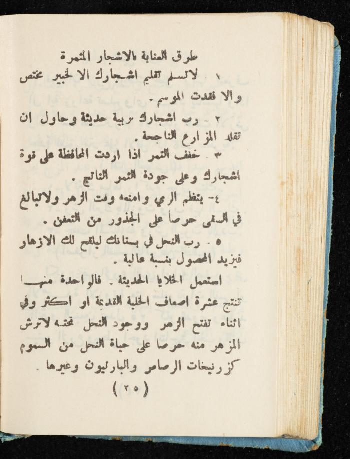 Walid Fahoum's Journal, Nazareth, 1961
