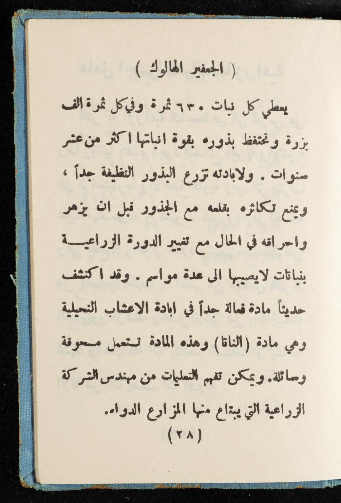 Walid Fahoum's Journal, Nazareth, 1961