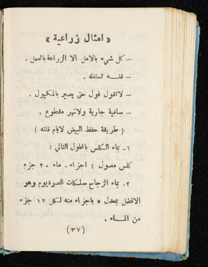 Walid Fahoum's Journal, Nazareth, 1961