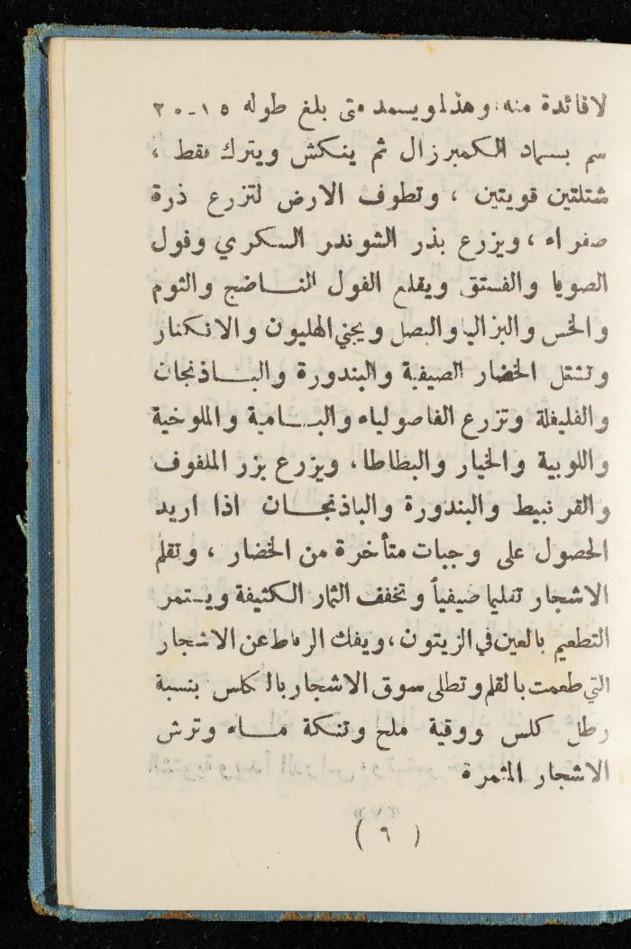 Walid Fahoum's Journal, Nazareth, 1961