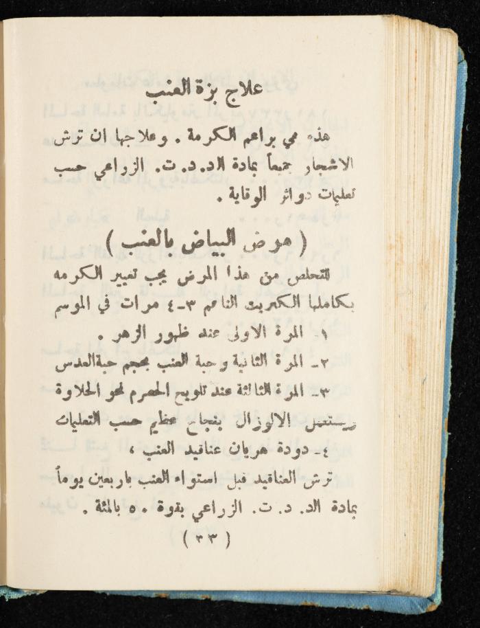 Walid Fahoum's Journal, Nazareth, 1961