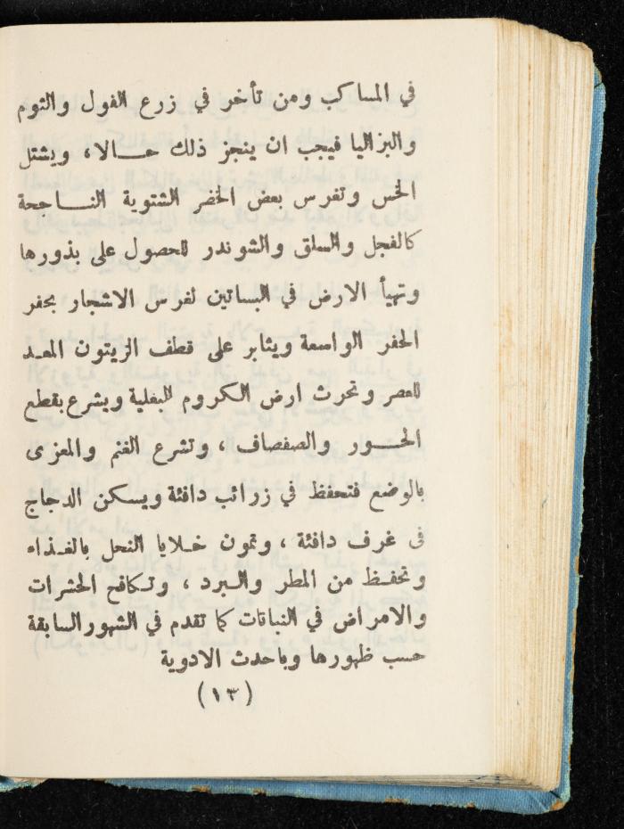 Walid Fahoum's Journal, Nazareth, 1961