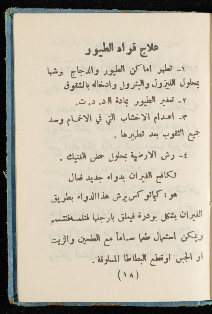 Walid Fahoum's Journal, Nazareth, 1961