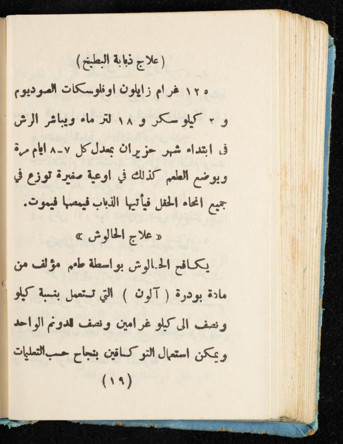 Walid Fahoum's Journal, Nazareth, 1961