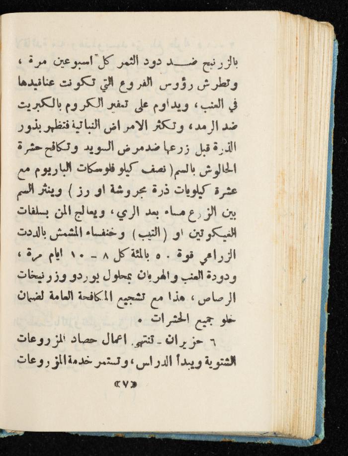 Walid Fahoum's Journal, Nazareth, 1961