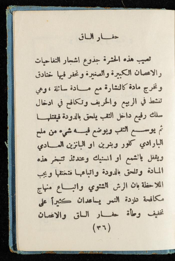 Walid Fahoum's Journal, Nazareth, 1961