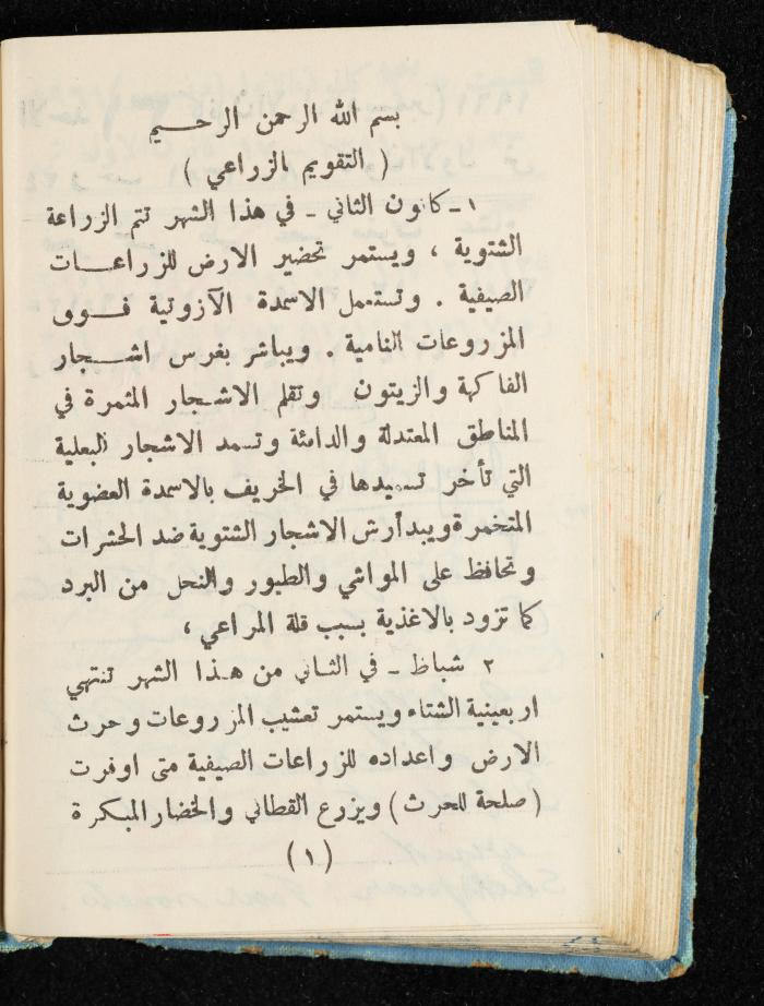 Walid Fahoum's Journal, Nazareth, 1961