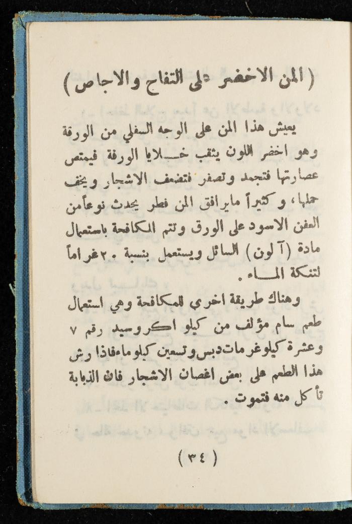 Walid Fahoum's Journal, Nazareth, 1961