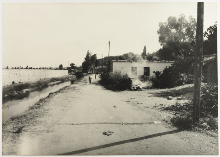 شارع في مخيم الرشيدية