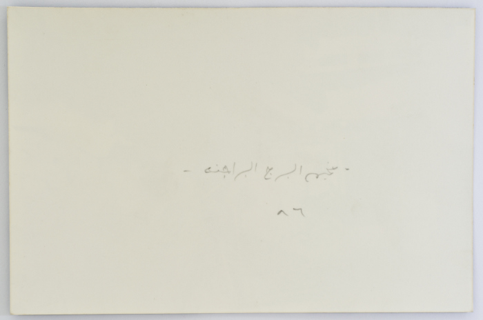 عسكري وسط الدمار، مخيم برج البراجنة، 1986