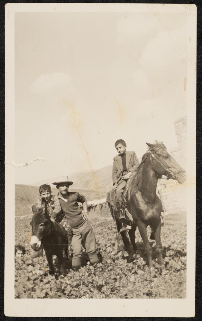 Three Children of the Shahin Family, al-Hamra, 8 February 1956