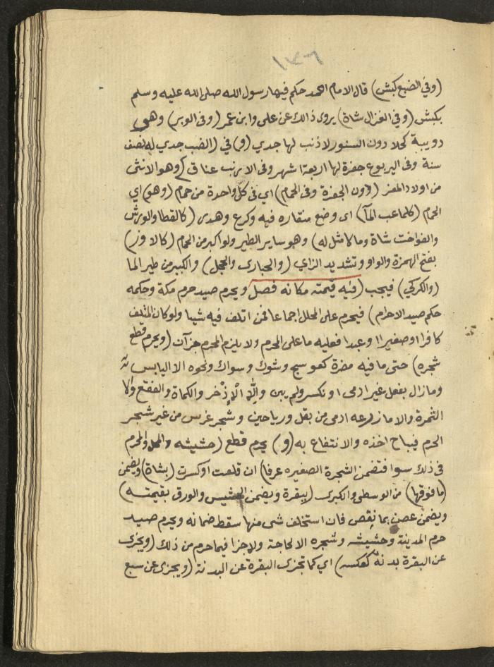 Manuscript on Jurisprudential Rulings by Abdel-Fattah Abdel-Haq, Nablus, May 1884