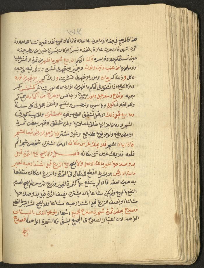 Manuscript on Jurisprudential Rulings by Abdel-Fattah Abdel-Haq, Nablus, May 1884