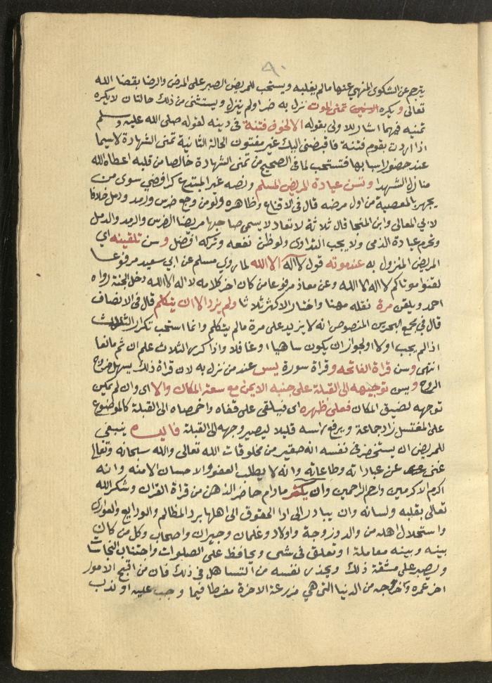 Manuscript on Jurisprudential Rulings by Abdel-Fattah Abdel-Haq, Nablus, May 1884