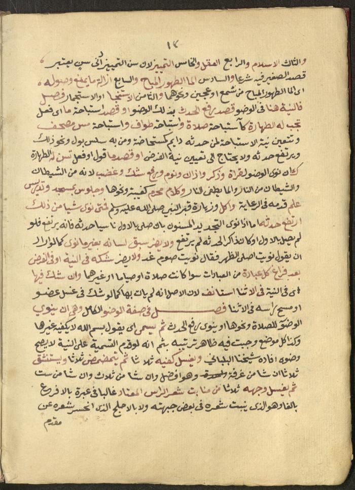 Manuscript on Jurisprudential Rulings by Abdel-Fattah Abdel-Haq, Nablus, May 1884