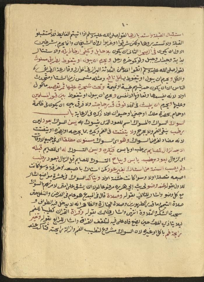 Manuscript on Jurisprudential Rulings by Abdel-Fattah Abdel-Haq, Nablus, May 1884