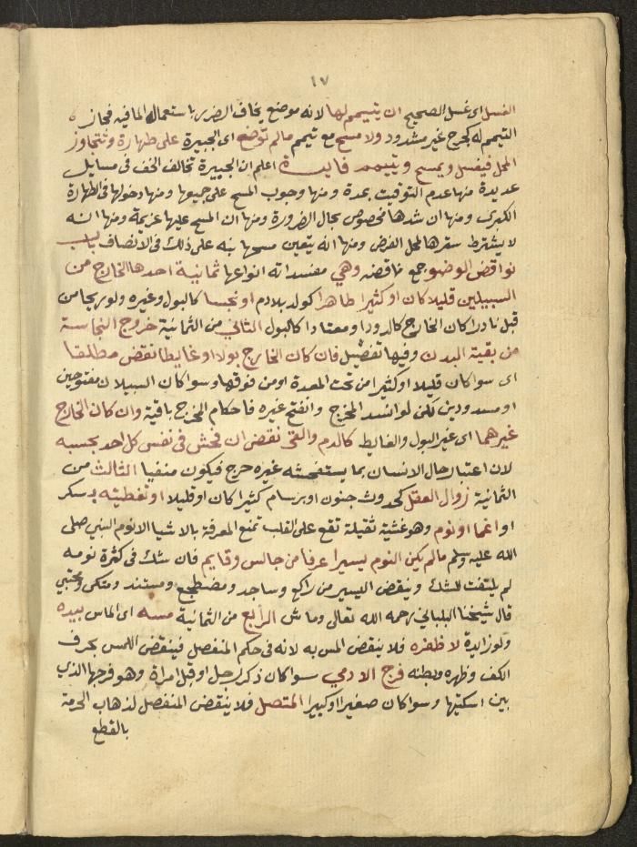 Manuscript on Jurisprudential Rulings by Abdel-Fattah Abdel-Haq, Nablus, May 1884