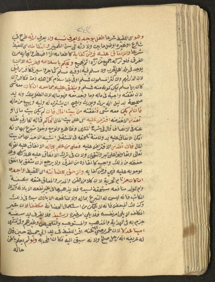 Manuscript on Jurisprudential Rulings by Abdel-Fattah Abdel-Haq, Nablus, May 1884
