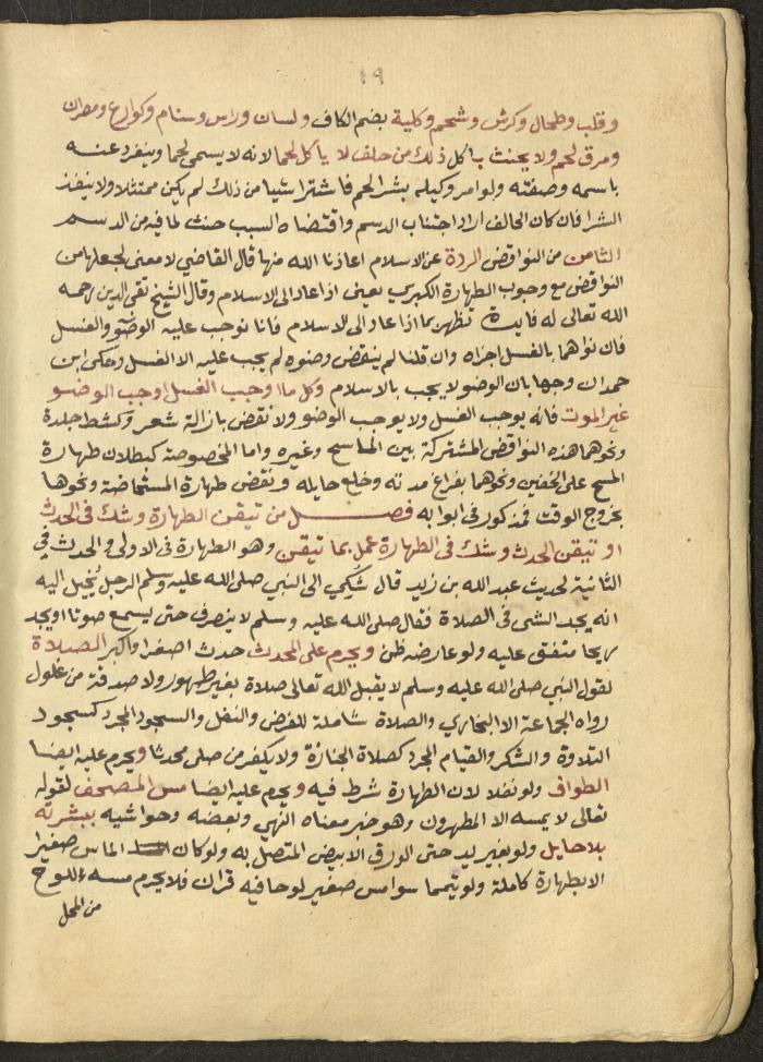 Manuscript on Jurisprudential Rulings by Abdel-Fattah Abdel-Haq, Nablus, May 1884