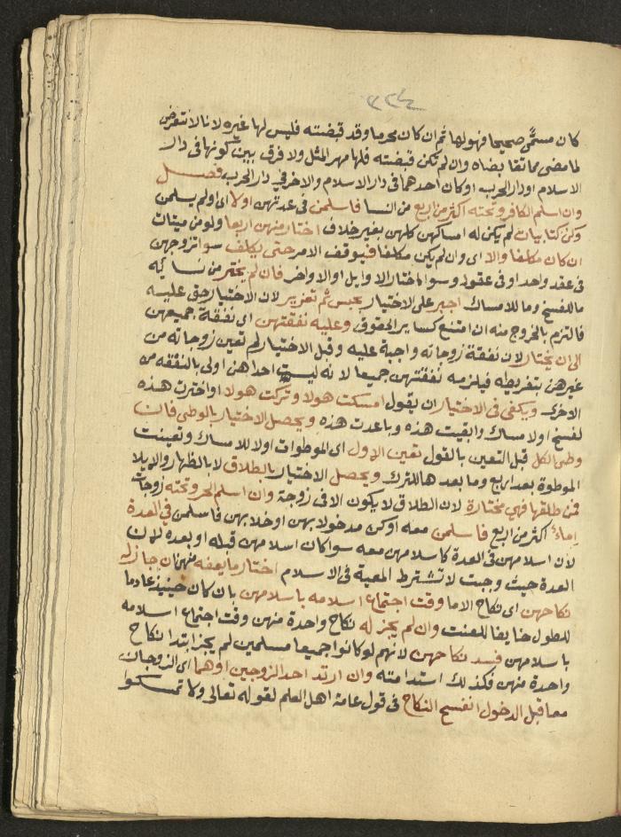 Manuscript on Jurisprudential Rulings by Abdel-Fattah Abdel-Haq, Nablus, May 1884
