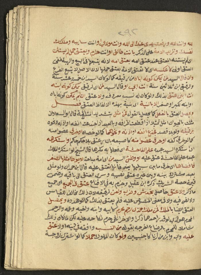 Manuscript on Jurisprudential Rulings by Abdel-Fattah Abdel-Haq, Nablus, May 1884