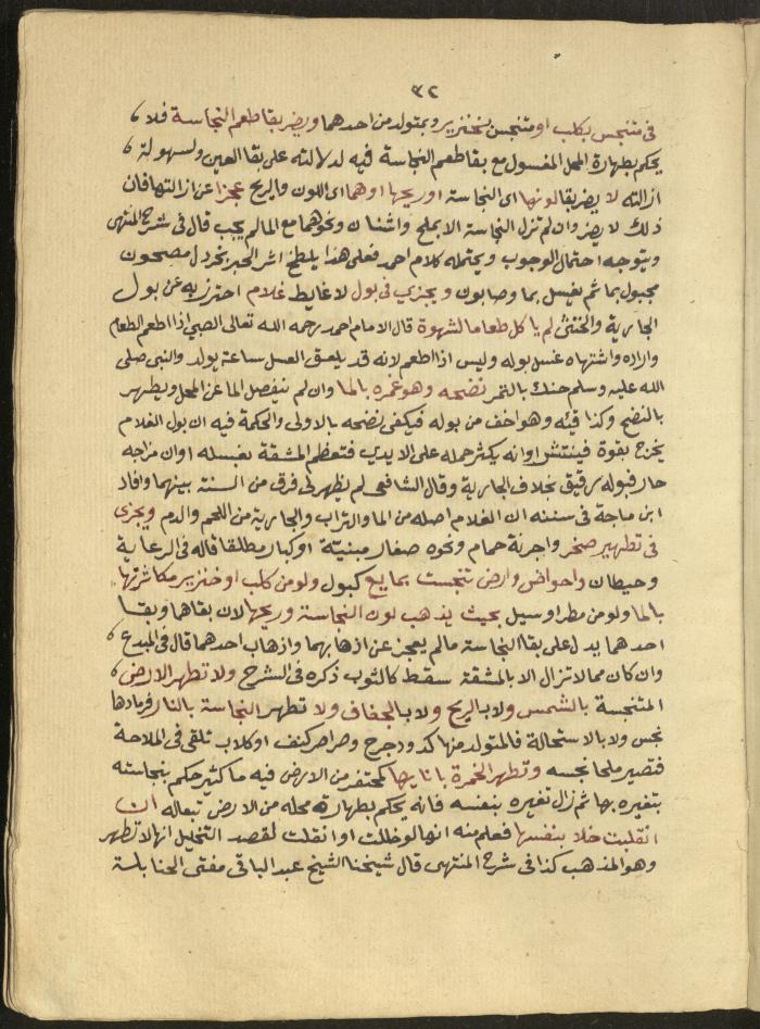 Manuscript on Jurisprudential Rulings by Abdel-Fattah Abdel-Haq, Nablus, May 1884