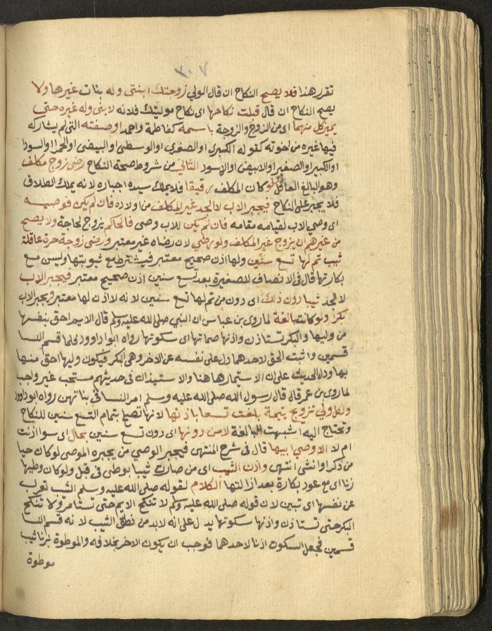 Manuscript on Jurisprudential Rulings by Abdel-Fattah Abdel-Haq, Nablus, May 1884