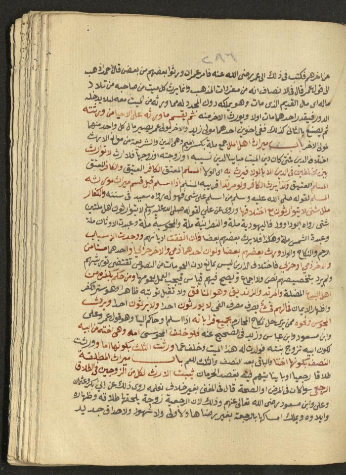 Manuscript on Jurisprudential Rulings by Abdel-Fattah Abdel-Haq, Nablus, May 1884