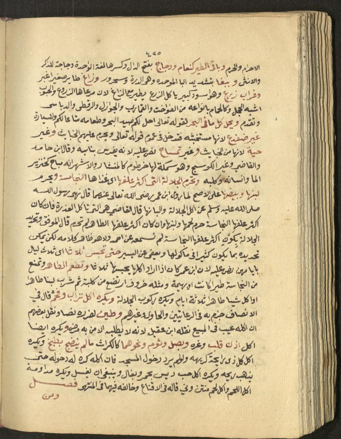 Manuscript on Jurisprudential Rulings by Abdel-Fattah Abdel-Haq, Nablus, May 1884
