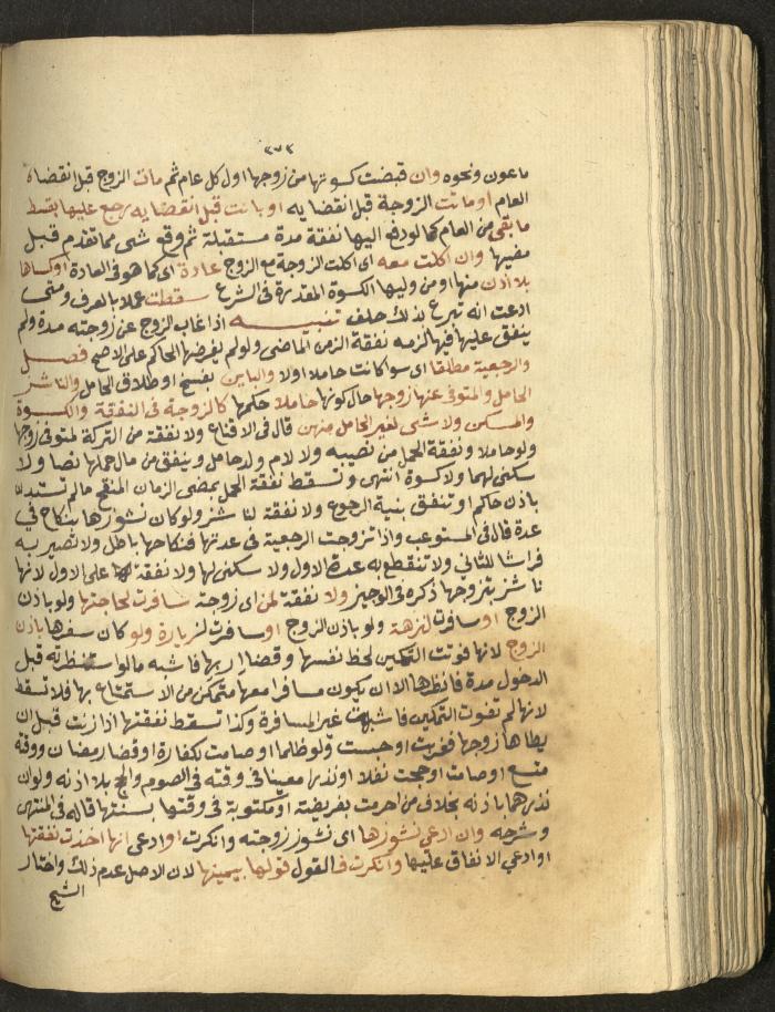 Manuscript on Jurisprudential Rulings by Abdel-Fattah Abdel-Haq, Nablus, May 1884