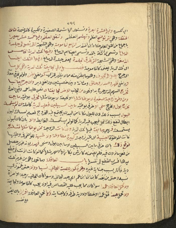 Manuscript on Jurisprudential Rulings by Abdel-Fattah Abdel-Haq, Nablus, May 1884