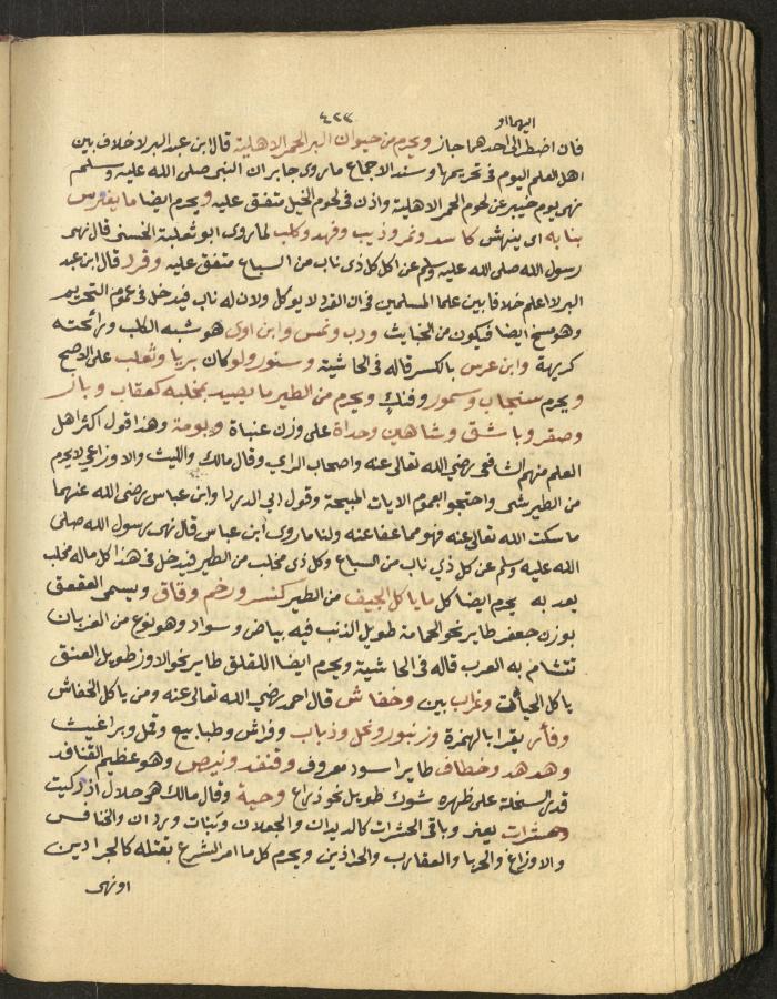 Manuscript on Jurisprudential Rulings by Abdel-Fattah Abdel-Haq, Nablus, May 1884