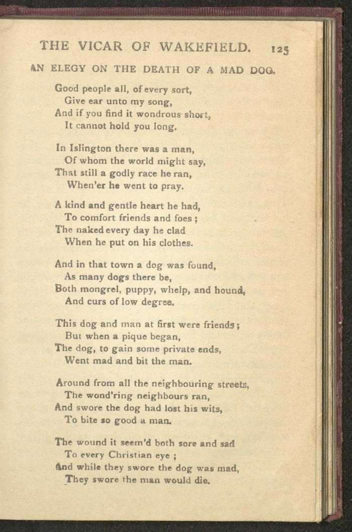 A Book Titled 
