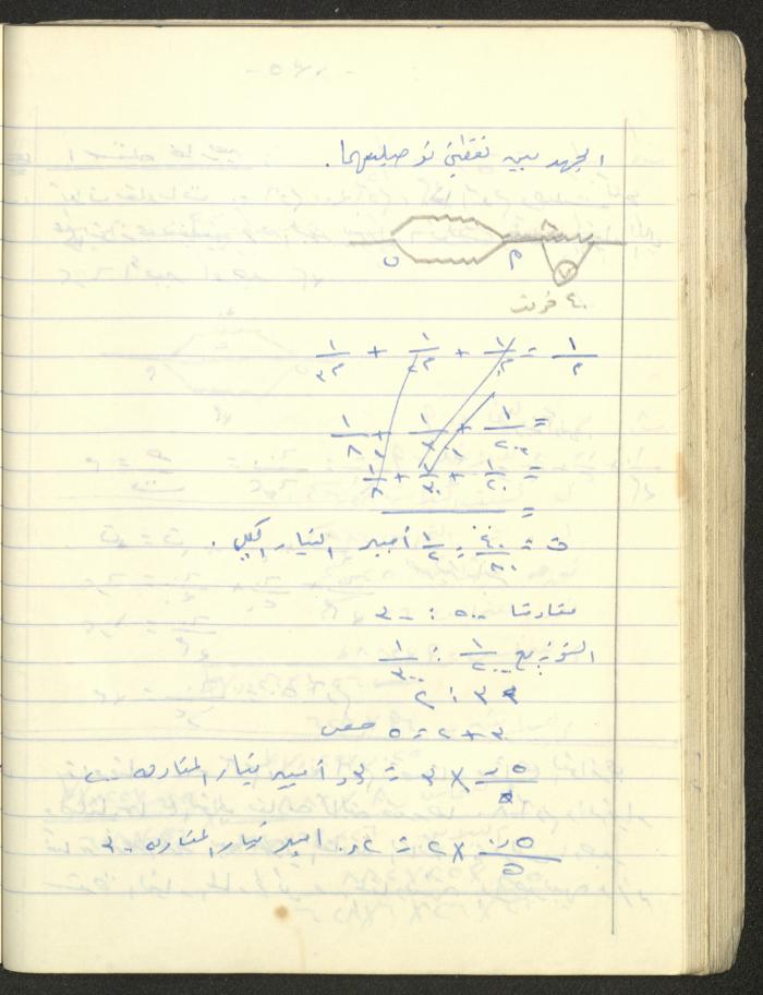 Adib Mahmoud's 
