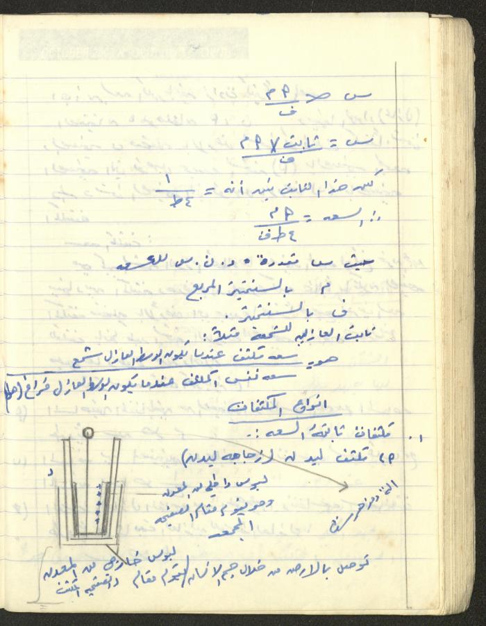 Adib Mahmoud's 