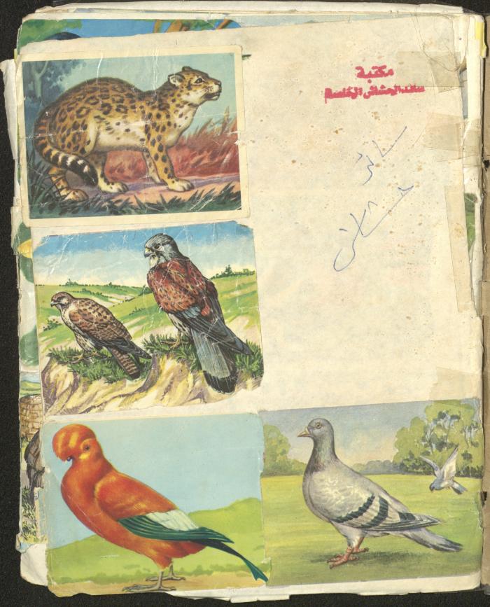 Ayman Ismail's 