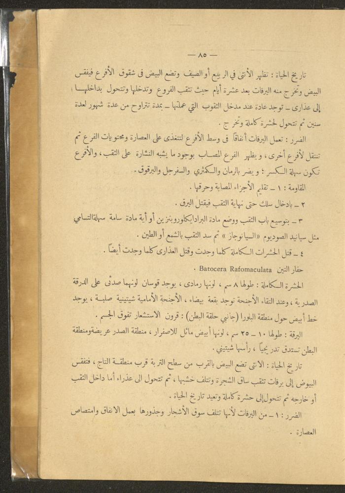 العدد الأول من مجلة التربية الريفية، شباط 1959