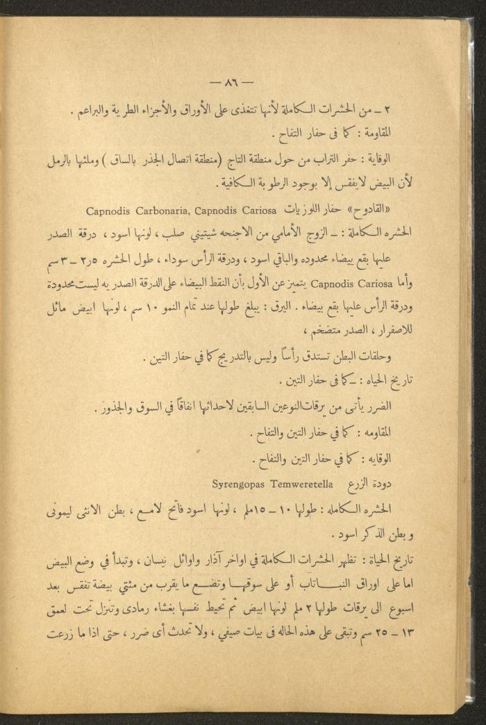 العدد الأول من مجلة التربية الريفية، شباط 1959